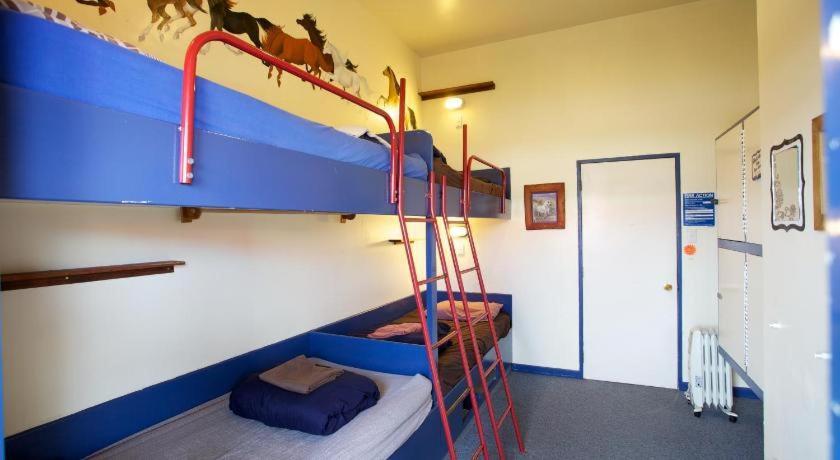 Stables Lodge Backpackers Napier Ngoại thất bức ảnh