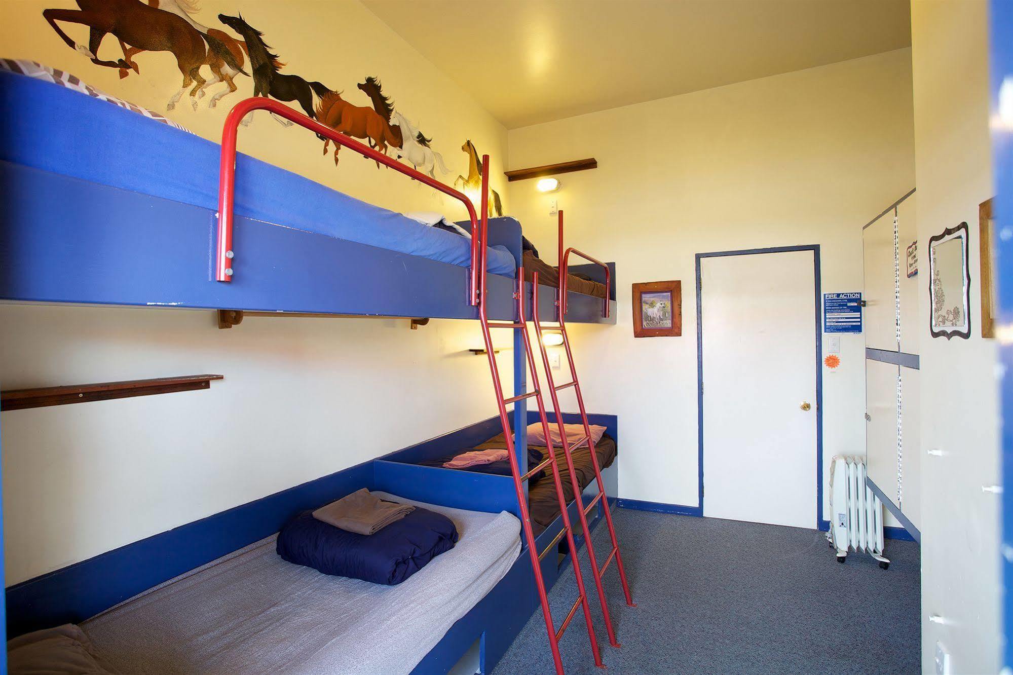 Stables Lodge Backpackers Napier Ngoại thất bức ảnh